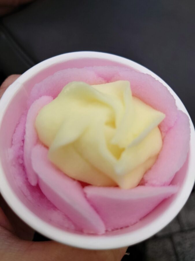 Akita’s specialty “Bubba Hera Ice Cream” could be tasted in Yurakucho.